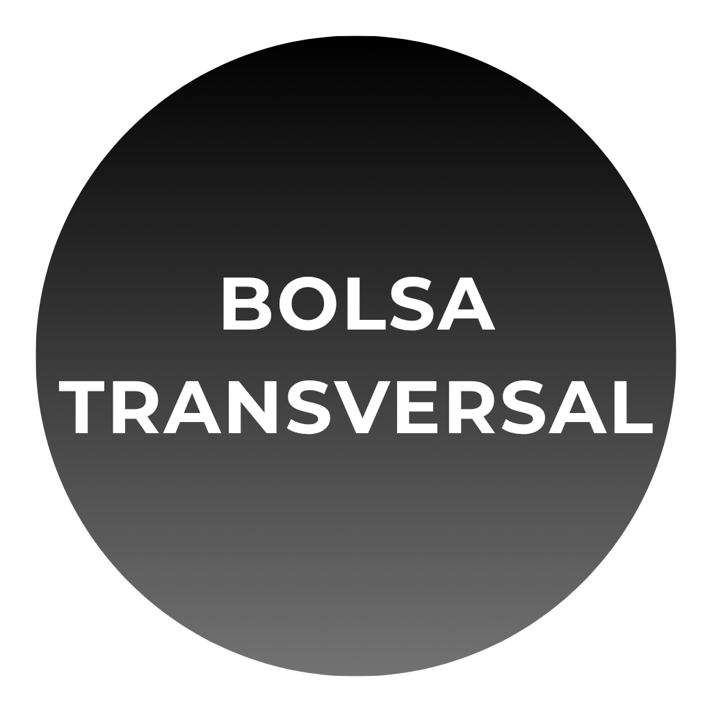 Bolsa Transversal